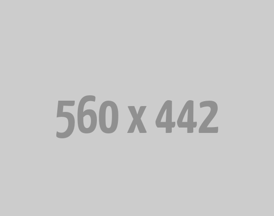 We're The Best WordPress Development Company